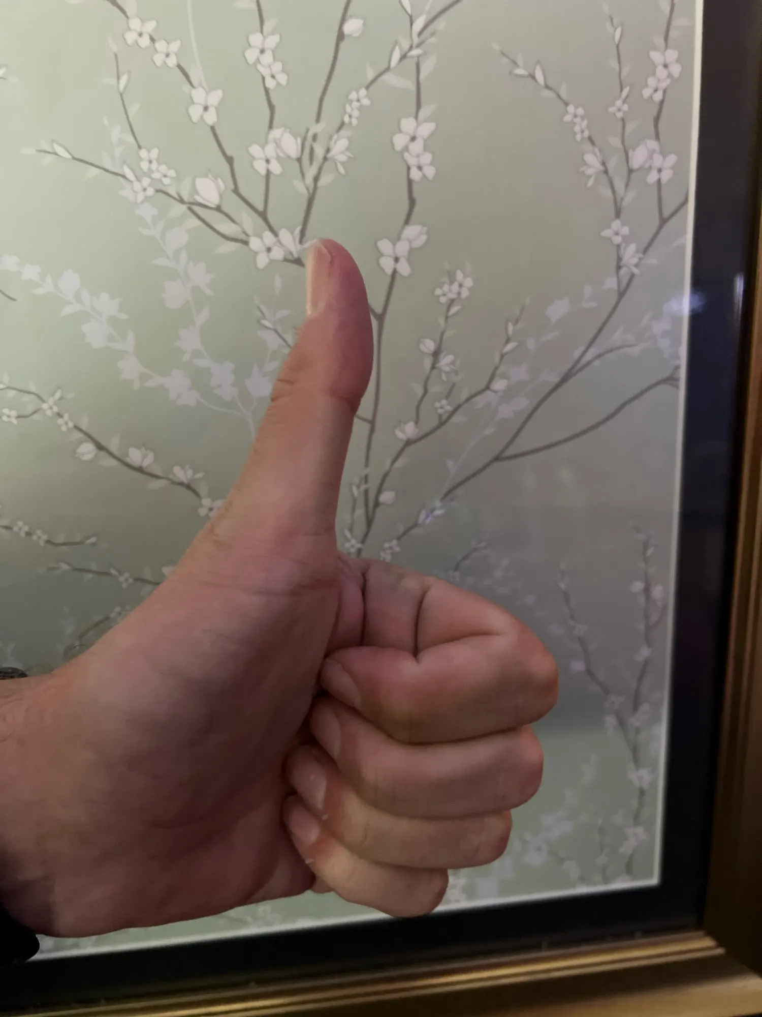 Customer review photo