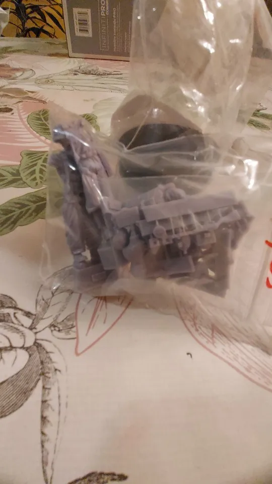 Buyer photo of this resin kit