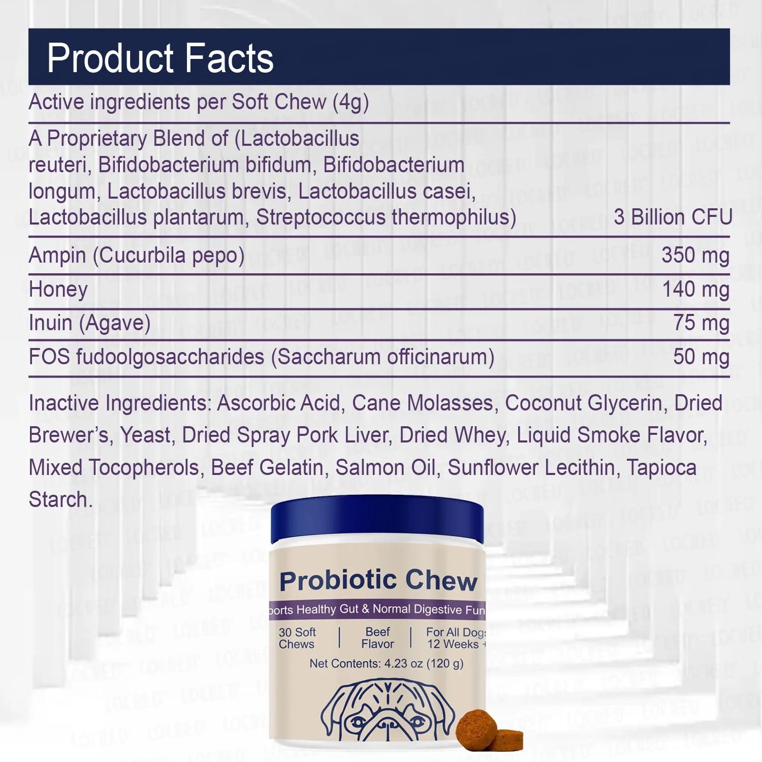 30Pcs Dog Probiotic Chews Beef Flavor Pet Digestive Supplement, Gut Health Soft Chew Treats For All Breeds Dogs