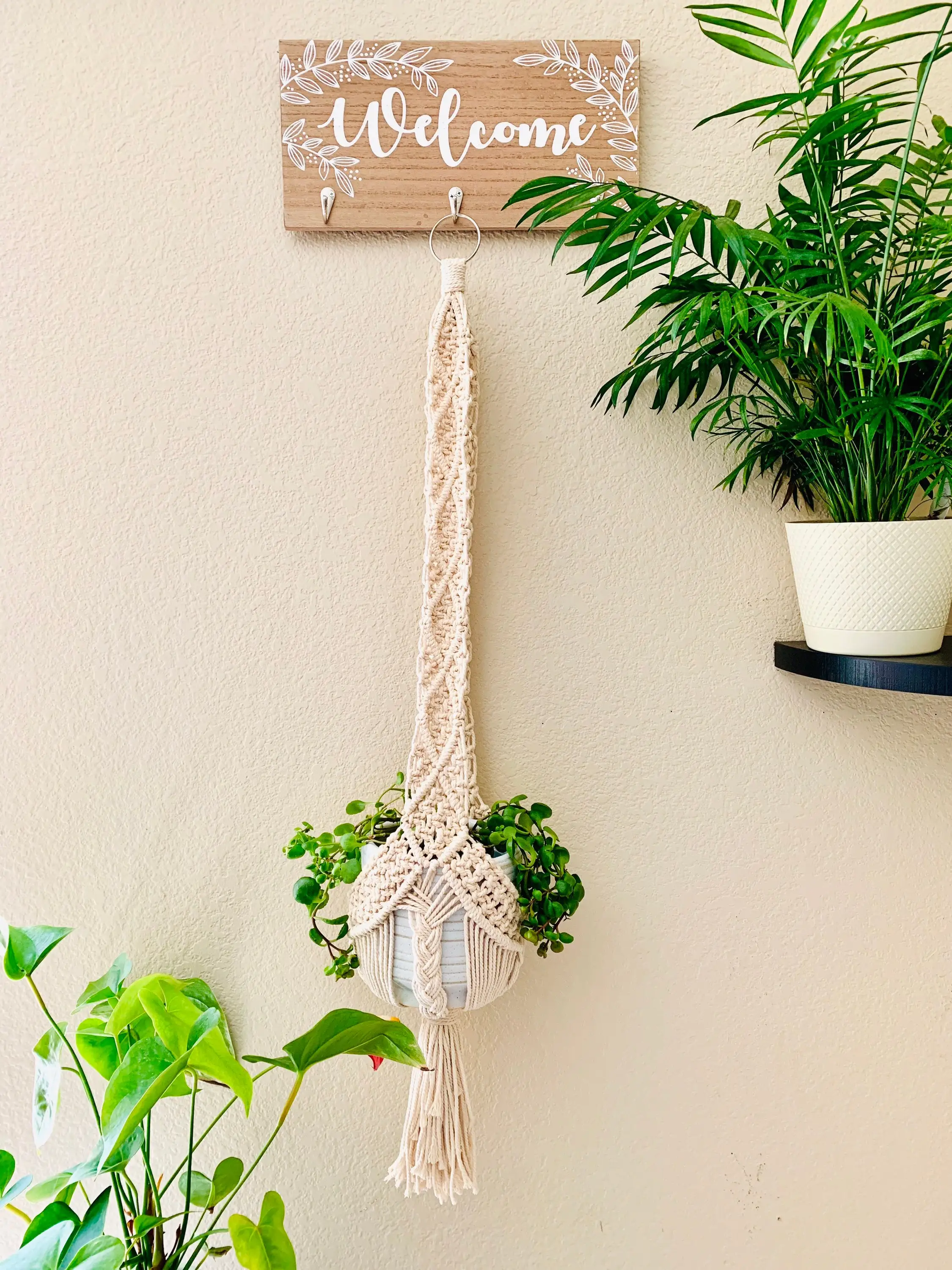 Indoor & Outdoor Macrame Plant Hanger, Patio Décor, Boho, Window and Ceiling Plant Hanger, Display Hanging Flower and Pot Plant