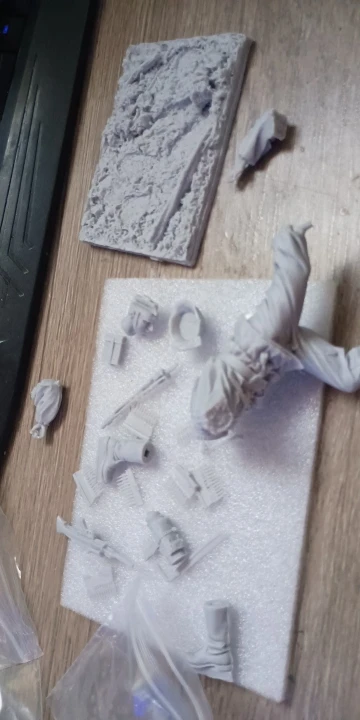 Buyer photo of this resin kit