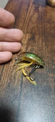 Imagen de reseña 1