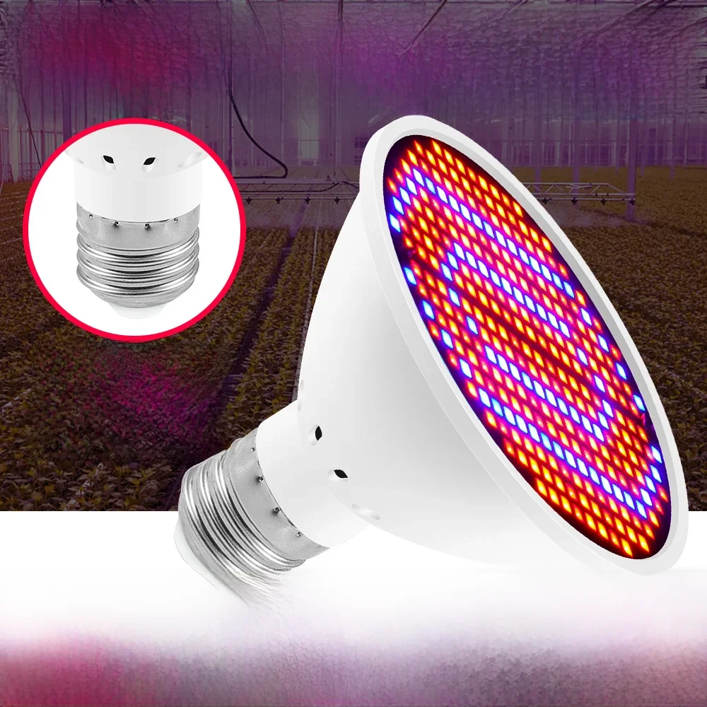 LED Full Spectrum Phytolamp para o cultivo de estufa Grow Box, Interior Sementes De Flores,