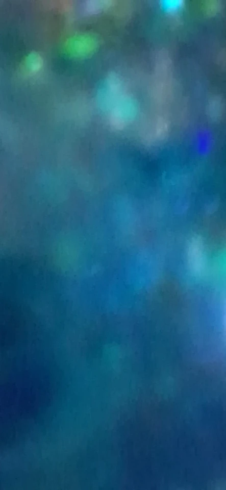 실물 포토 리뷰