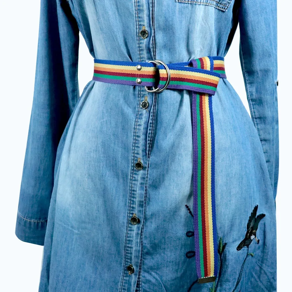 Fashion Design 2023 Rainbow Palaska Silver Color D Shaped Buckle Belt image 4