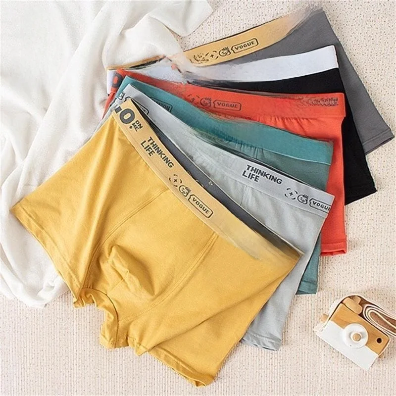 Boxer doux en pur coton pour hommes, sous-vêtements sexy, short confortable, lifting des fesses, poudres 3D, haute qualité, lot de 6 pièces