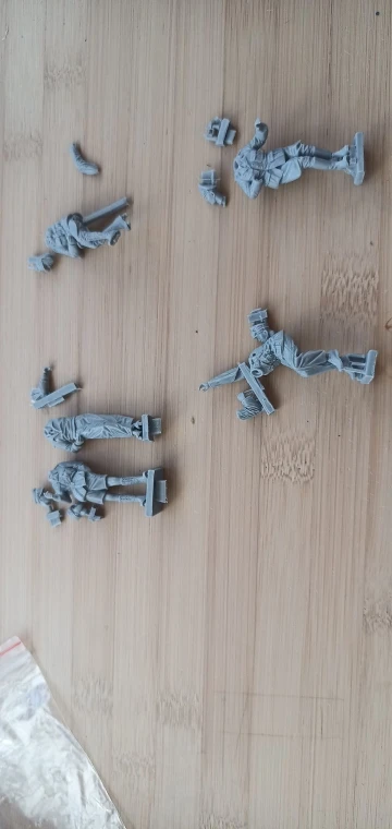 Buyer photo of this resin kit