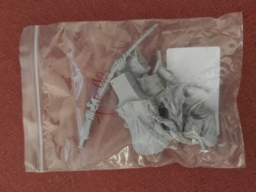 Buyer photo of this resin kit