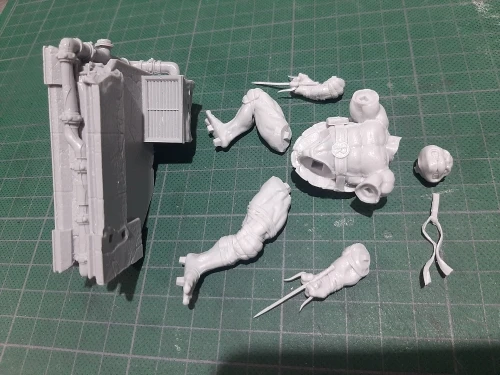 Buyer photo of this resin kit