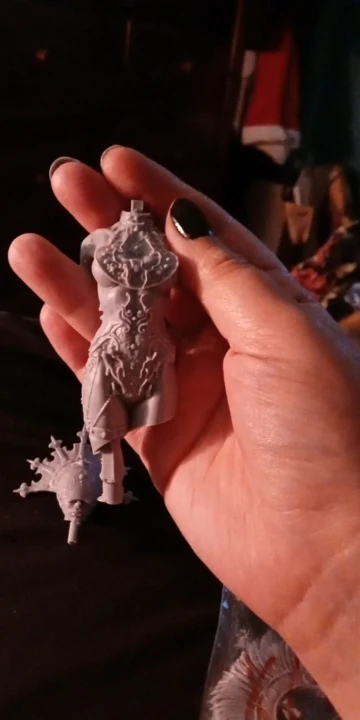 Buyer photo of this resin kit