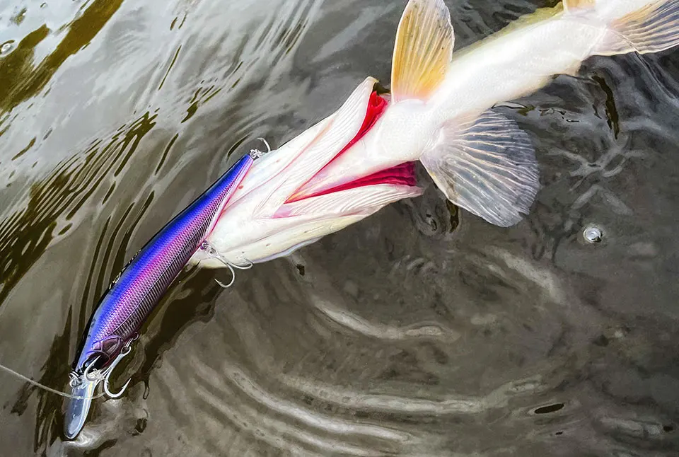 TSURINOYA 115S NYX SinKing Minnow Jerkbait 18,5 g 115 mm Salzwasser künstlicher professioneller Angelköder – Detail 24