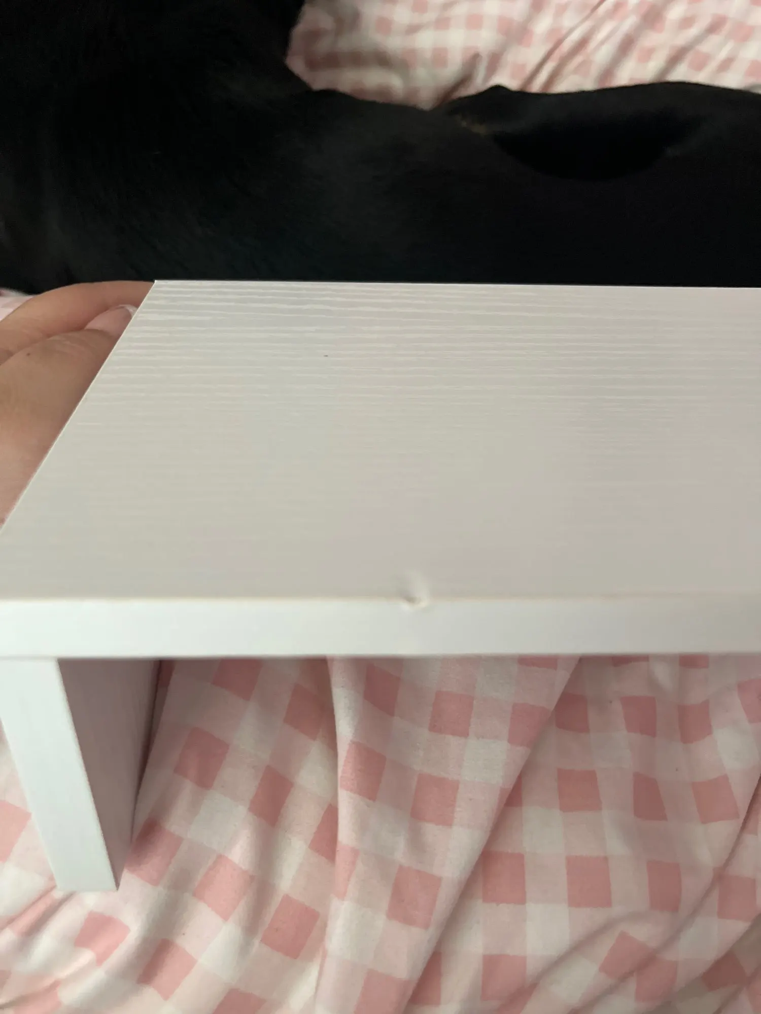 Customer review photo