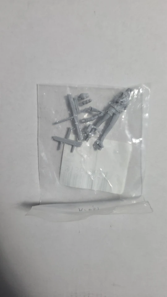 Buyer photo of this resin kit