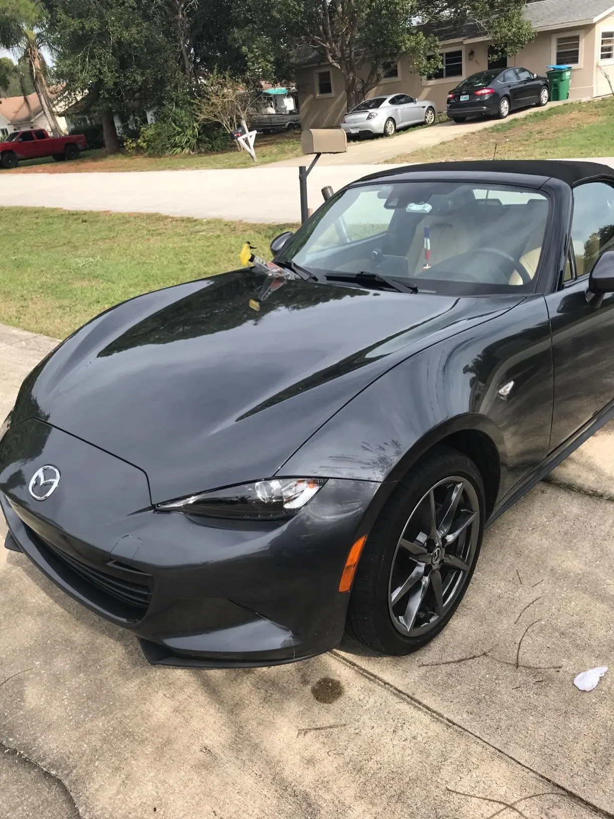 Customer review photo from Shizuko Anderson