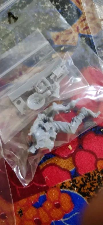 Buyer photo of this resin kit