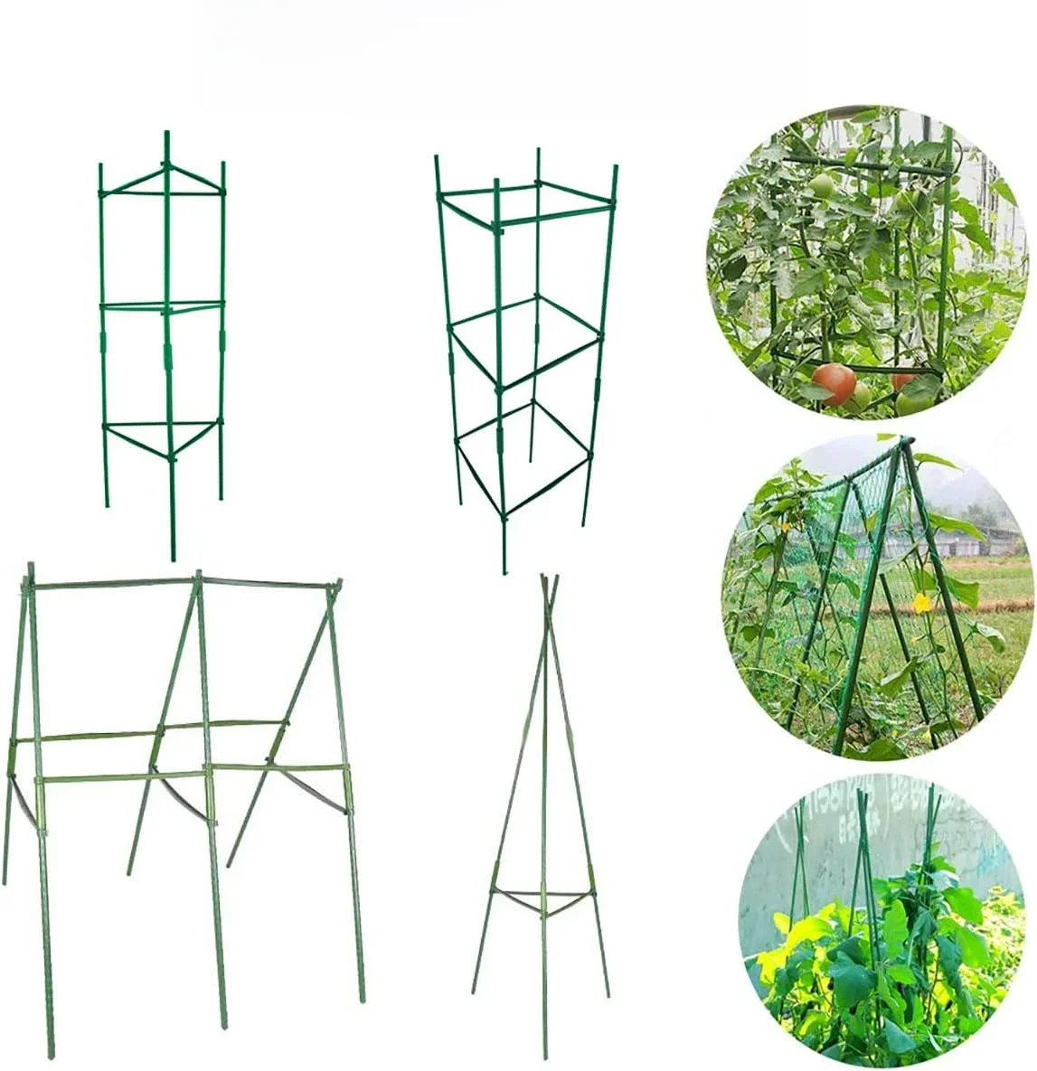 Tomates, jusqu'à 51 amarans de piquets de plantes, grilles végétales assemblées pour plantes grimpantes de jardin, fleurs