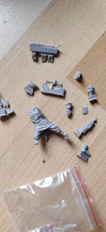 Buyer photo of this resin kit