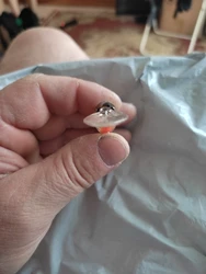 Imagen de reseña 3