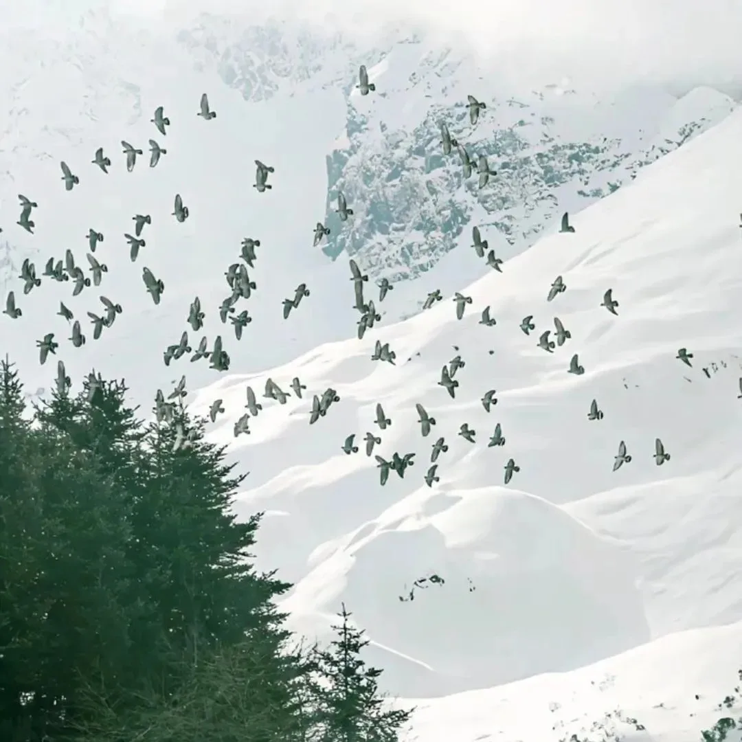 

4 In 1 IPL Laser Hair Removal Machine Skin Rejuvenation Photofacial Portable Home Use Beauty Device with Cooling System