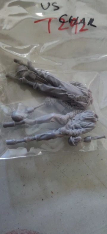 Buyer photo of this resin kit