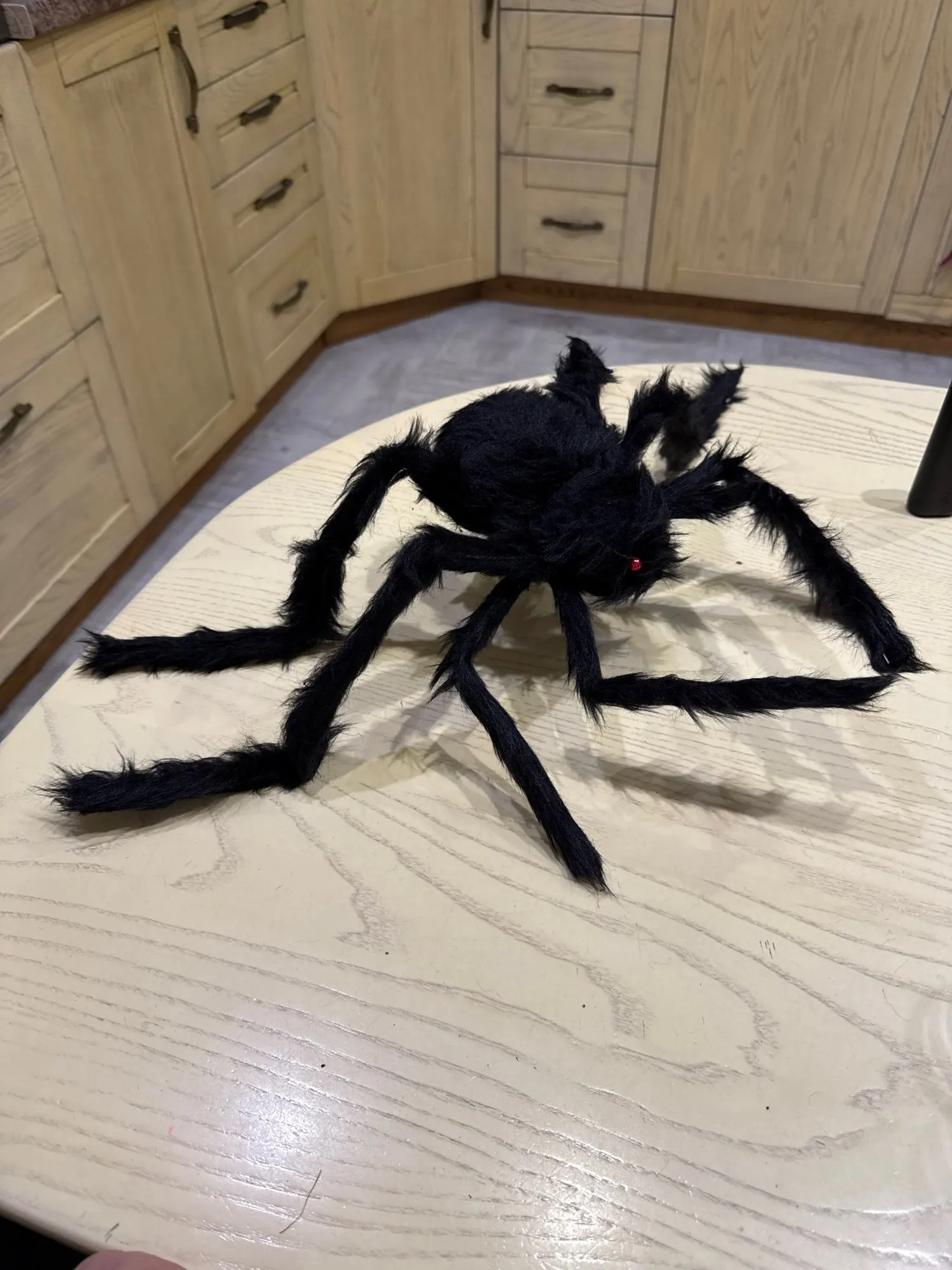Halloween Black Scary Giant Spider Huge Spider Web Halloween Decoration for Home Bar Haunted House Props Holiday Outdoor Decor photo review