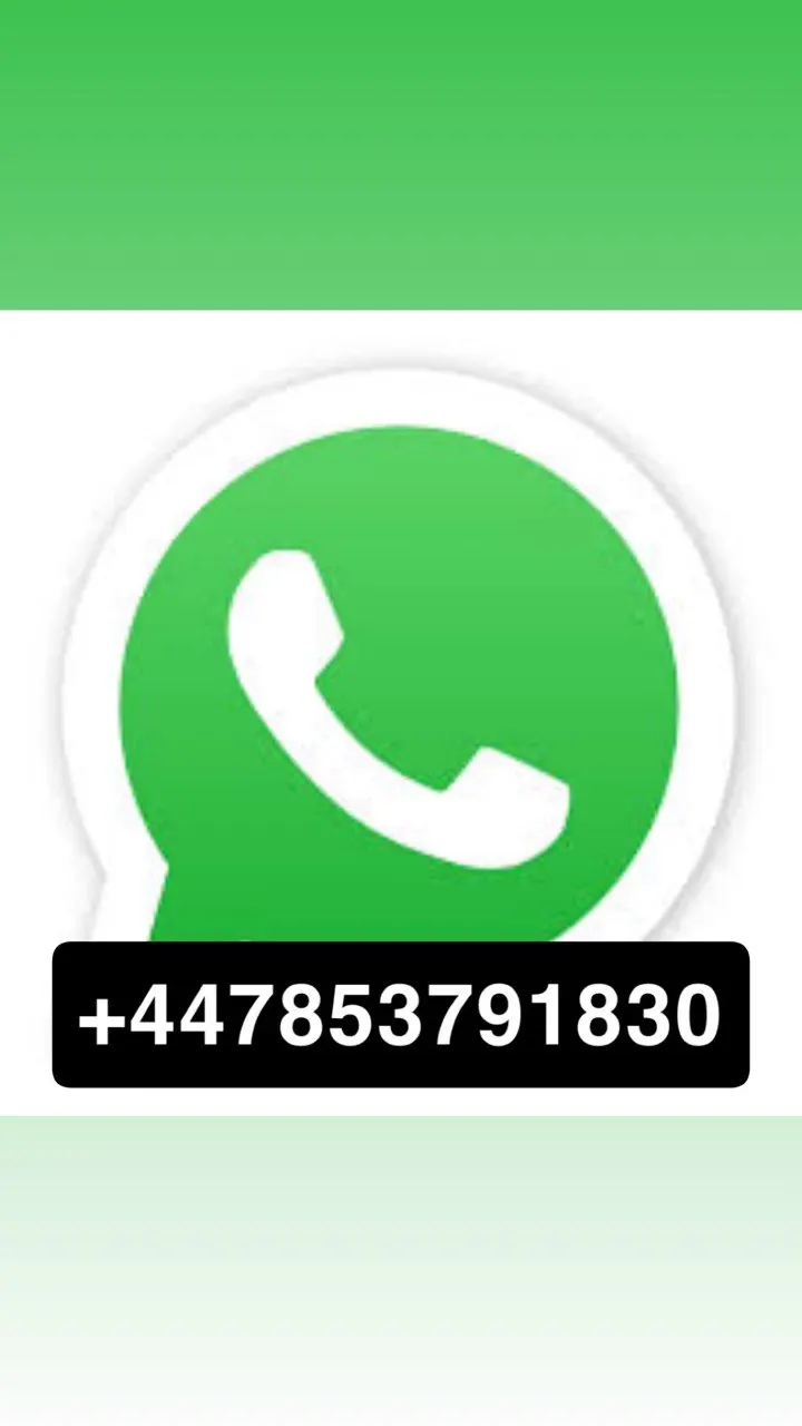 ST PROMO PRICE آلة تنظيف الأرضيات Paciiific القابلة للتخصيص S20 الكهربائية 24 فولت/48 فولت، آلة تنظيف الأرضيات الجديدة للسلامة وغرف الأبحاث #2