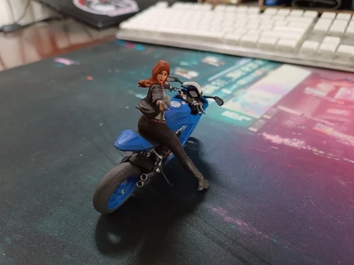 Buyer photo of this resin kit