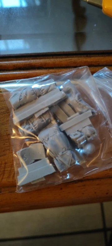 Buyer photo of this resin kit