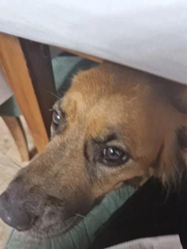 Foto de reseña de cliente