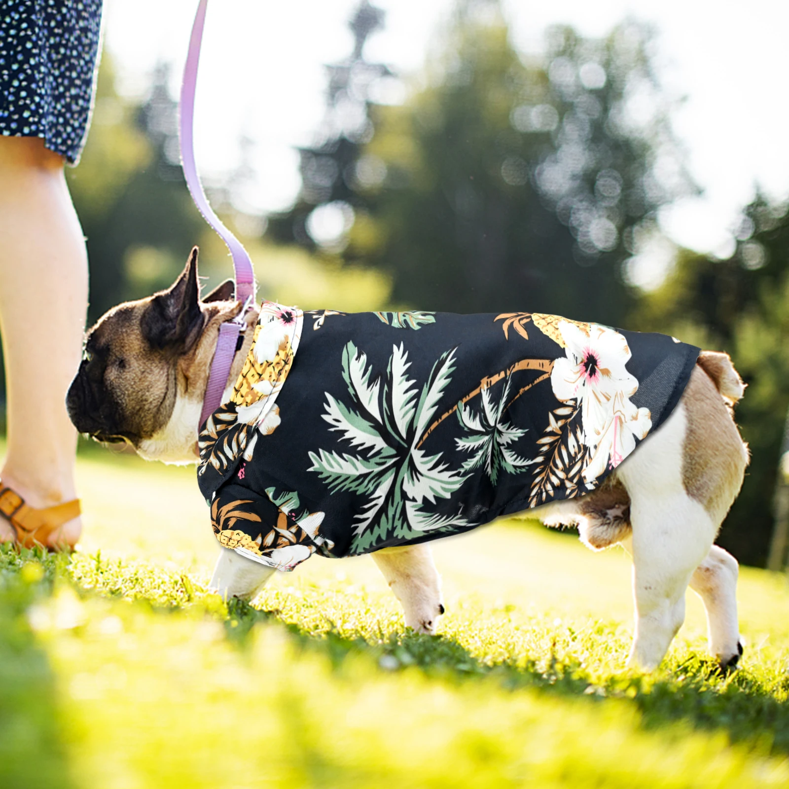 Hawaiian Dog Shirts Pet Summer Flower Pineapple Shirt for Small to Medium Puppy Dog Cat (XL, Black)