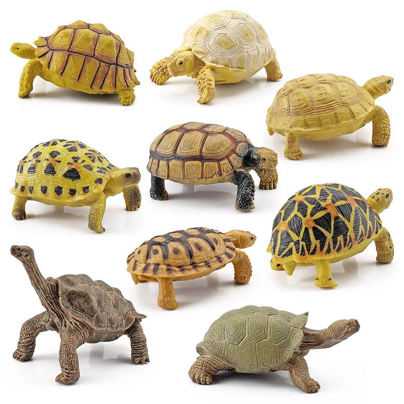 Simulazione animali marini tartaruga Geochelone Testudo allungamento Action Figures Sea Life Turtle figurine mattoni giocattoli PVC Kid Gift