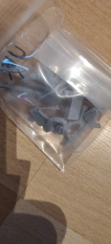 Buyer photo of this resin kit