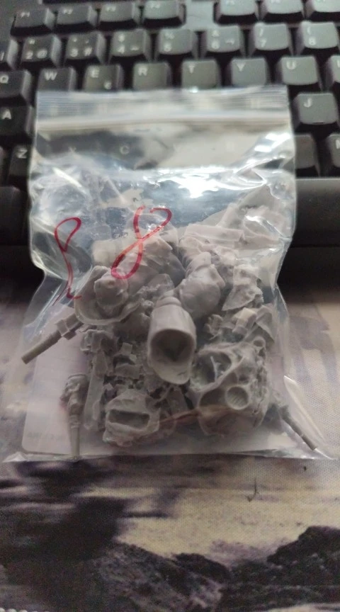 Buyer photo of this resin kit