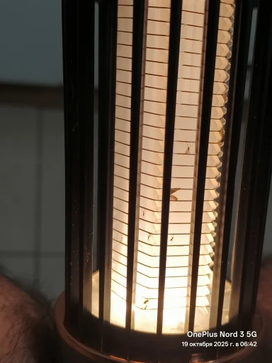 실물 포토 리뷰