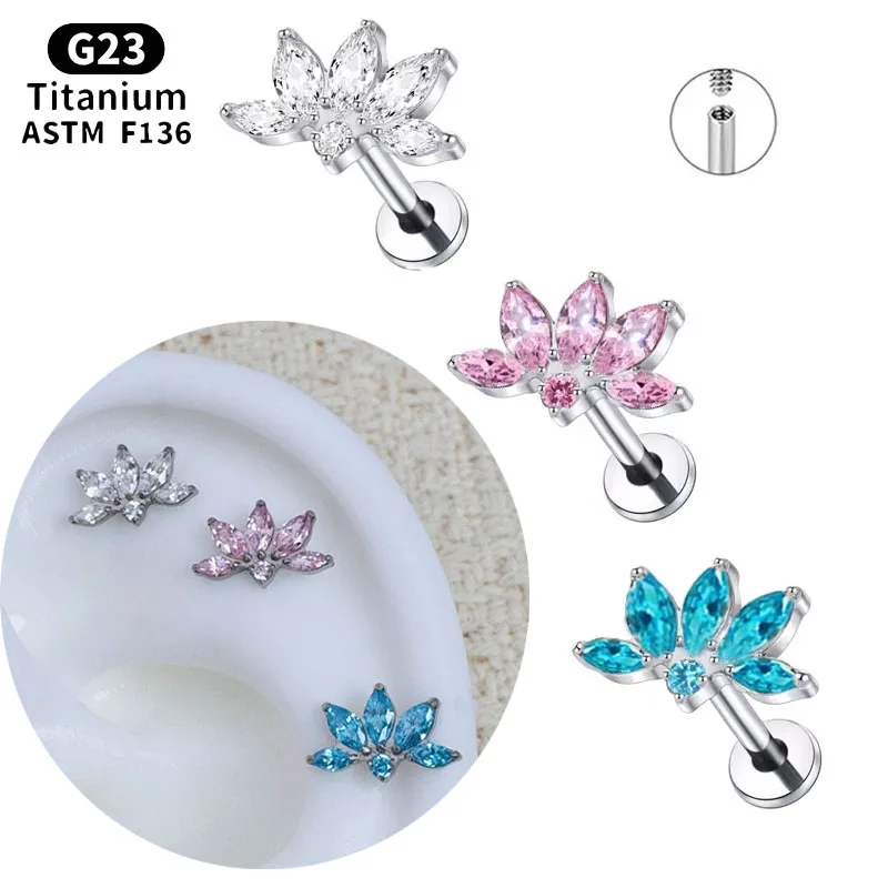 Noryan Astm F136 Ti…