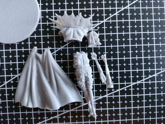 Buyer photo of this resin kit