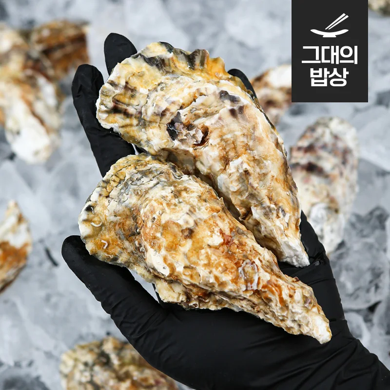 Tongyoung Seokhwa Petrochemical raw Oyster live oyster Tunnel Cave (Gangular Oyster)