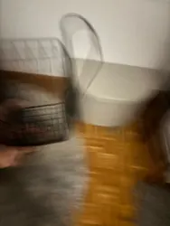 Imagen de reseña 3