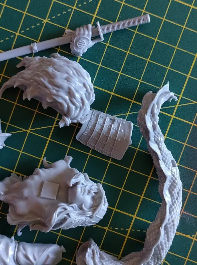 Buyer photo of this resin kit