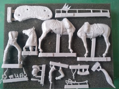 Buyer photo of this resin kit