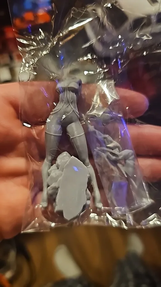 Buyer photo of this resin kit