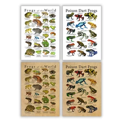 Poison Dart Frogs Poster Frogs of the World Species Art Print Scientific Illustration Canvas Painting Kids Room Wall Decoration