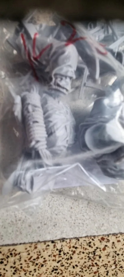 Buyer photo of this resin kit