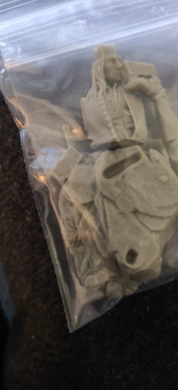 Buyer photo of this resin kit