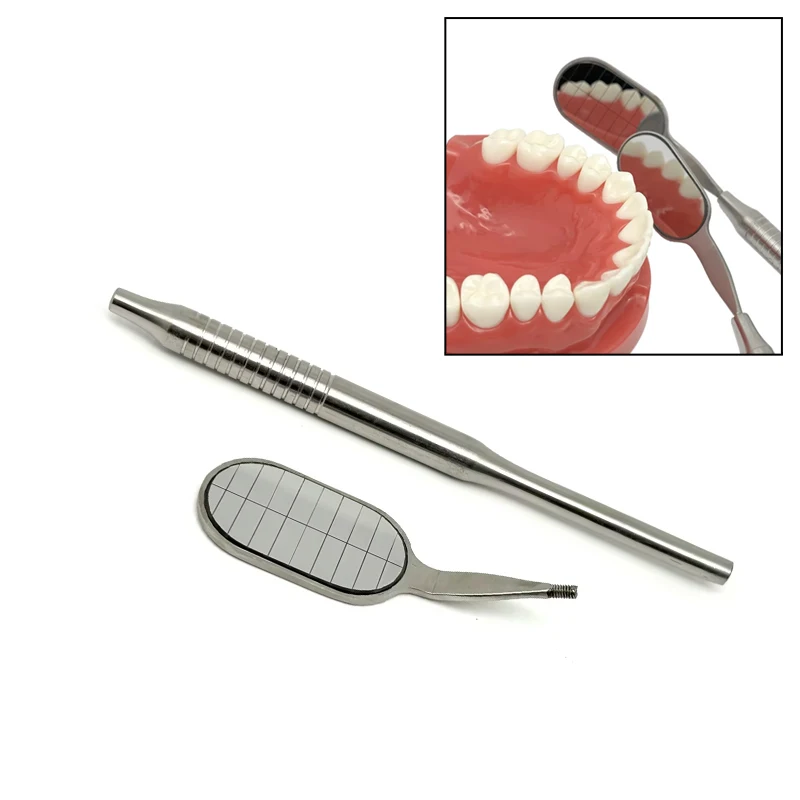 

Dental Mouth Mirrors Rhodium Reflectors with Handle High-Quality Long Shape Anti-Fog Mirror Tools for Clear Oral Examination