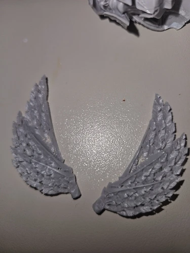 Buyer photo of this resin kit