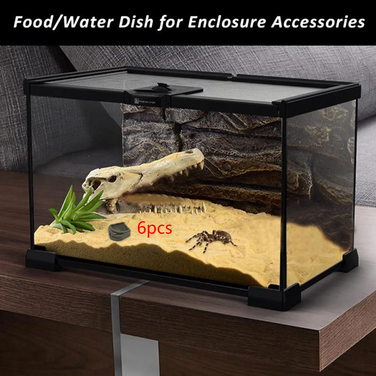 Thumbnail 4 - #29 Reptile Water Bowls Comparison Guide