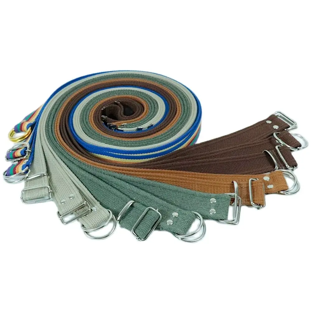 Fashion Design 2023 Rainbow Palaska Silver Color D Shaped Buckle Belt image 3