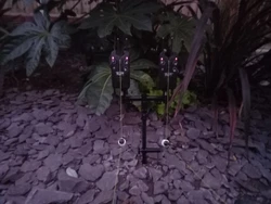 Imagen de reseña 2