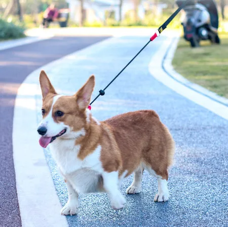Training Dog Choking Rope Leash 2 in 1 Lead Collar 150cm P-Shaped Chain Slip Lead Control Leash for Small Large Competition Dogs